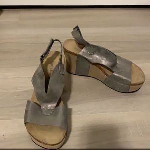 Silver wedges